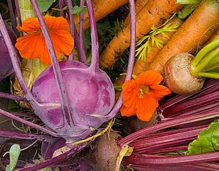 Farmers Markets