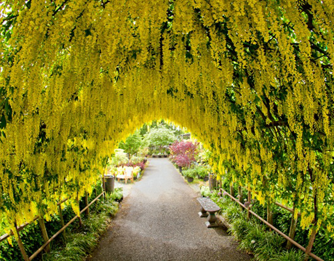 Farm & Garden
