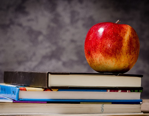 Education & Schools