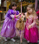 muttstrut princesses