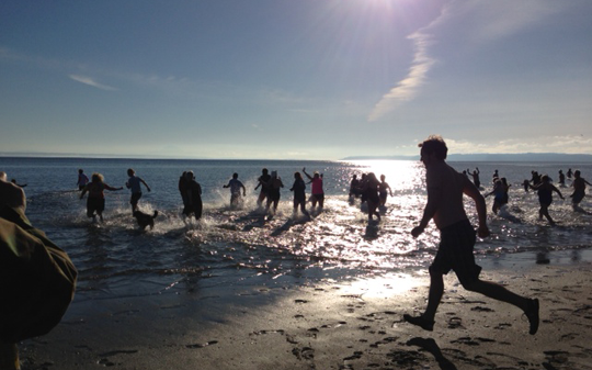 Polar Bear Plunge
