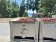 Comforts of Whidbey10 192x144