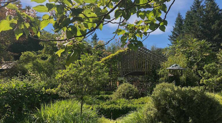 CultusBayGardens3 768x427