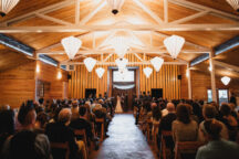 FIRESEED11 2 216x144