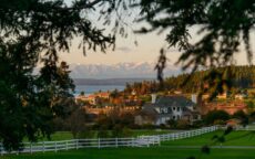 FREELAND CHAMBER3 230x144