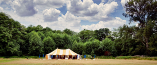 Island Shakespeare3 313x130