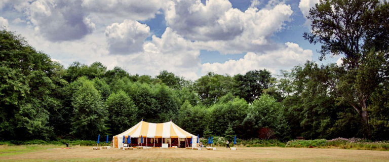 Island Shakespeare3 768x320