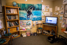 Langley Whale Center4 215x144