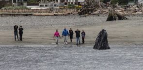 Langley Whale Center6 295x144