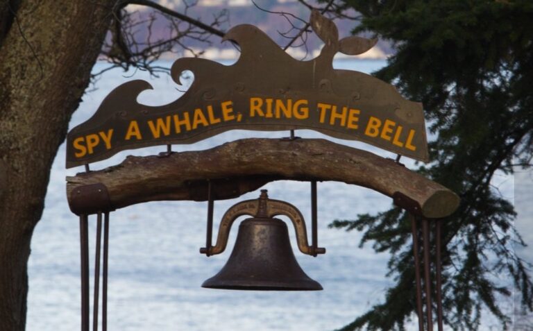 LangleyWhaleBellPark 768x477