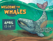 Welcome the Whales ORCA NETWORK POSTER 1 186x144