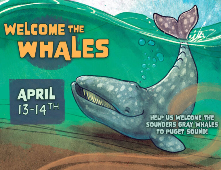 Welcome the Whales ORCA NETWORK POSTER 1 768x593