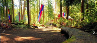 Whidbey Institute2 313x140