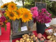 bayview farmers market5 192x144