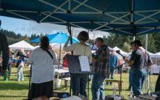 bayview farmers market7 230x144