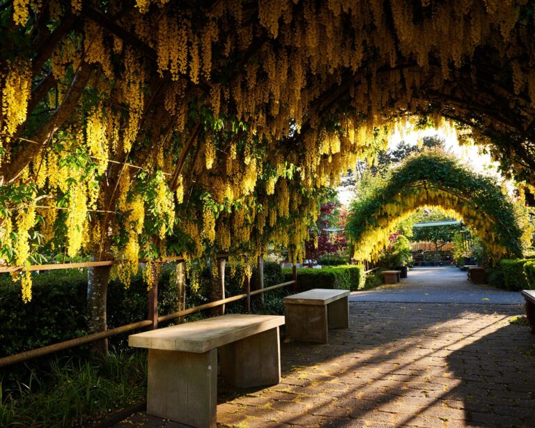 bayview garden 768x614