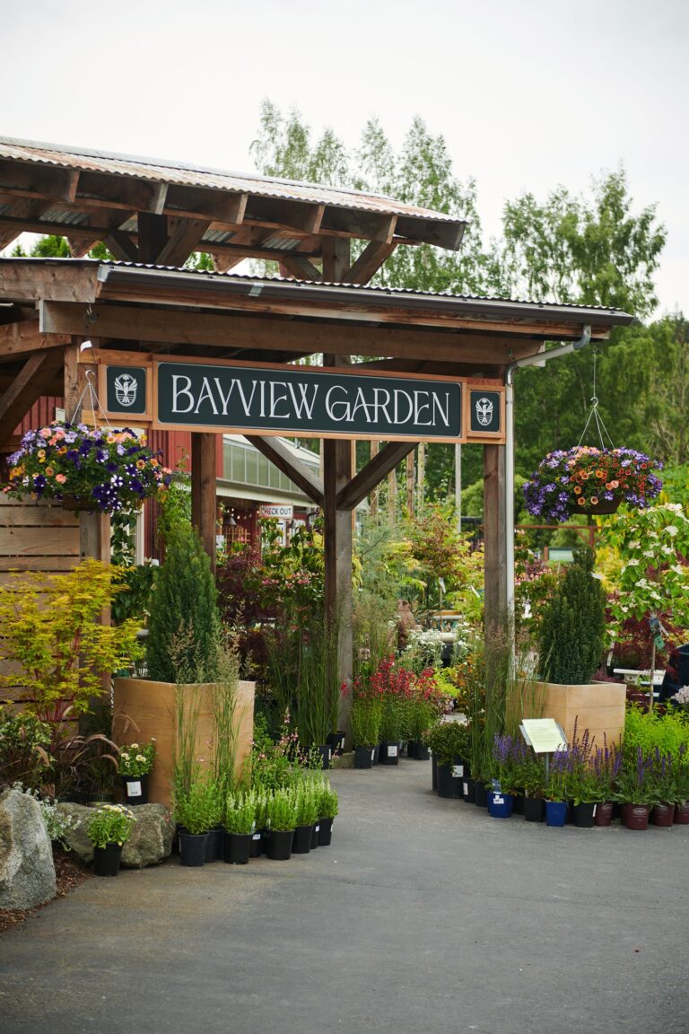 bayview garden2 768x1152