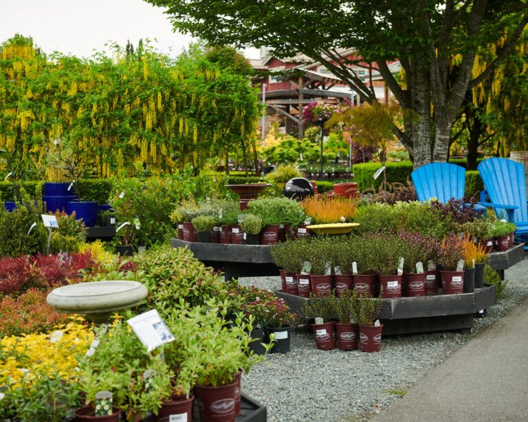bayview garden5 768x614