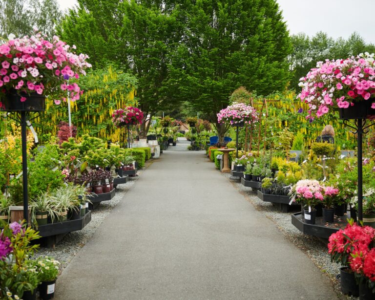 bayview garden6 768x614