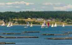 coupeville chamber45 230x144