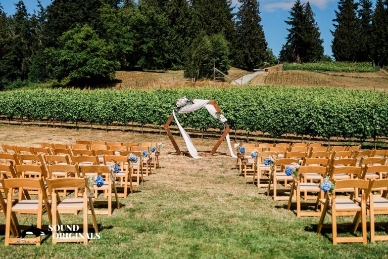 dancingfish4 768x512