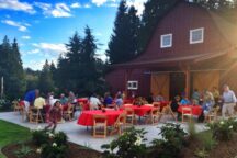 dancingfish5 216x144