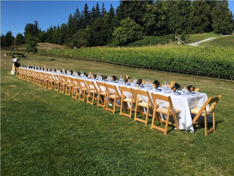 dancingfish6 768x576