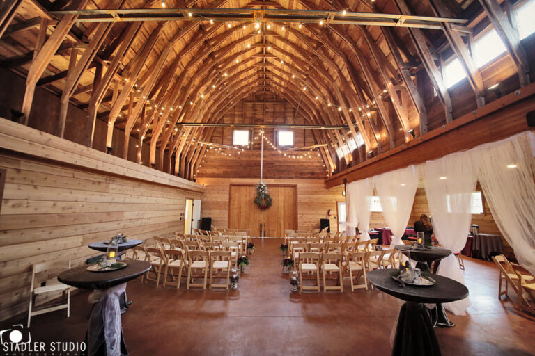 dancingfish7 768x512