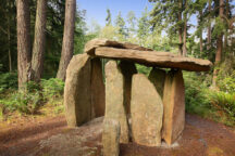 earth sanctuary 216x144