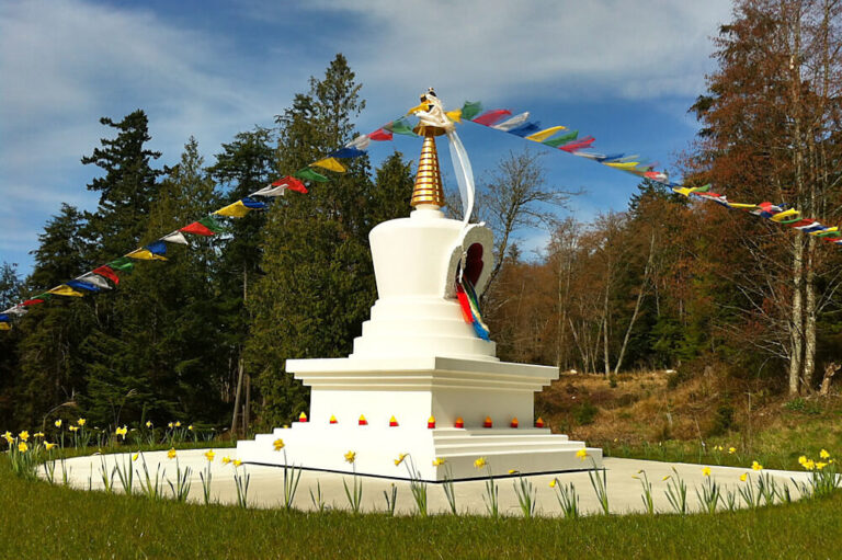 earth sanctuary5 768x511