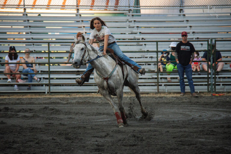 fairgrounds11 768x513