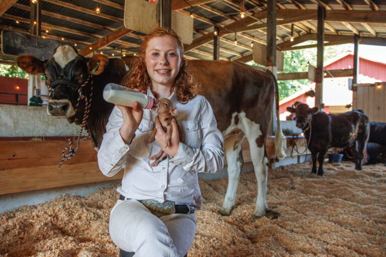 fairgrounds8 768x512
