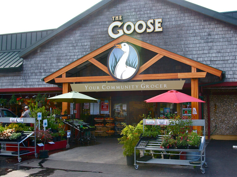 goosefoot4 768x576