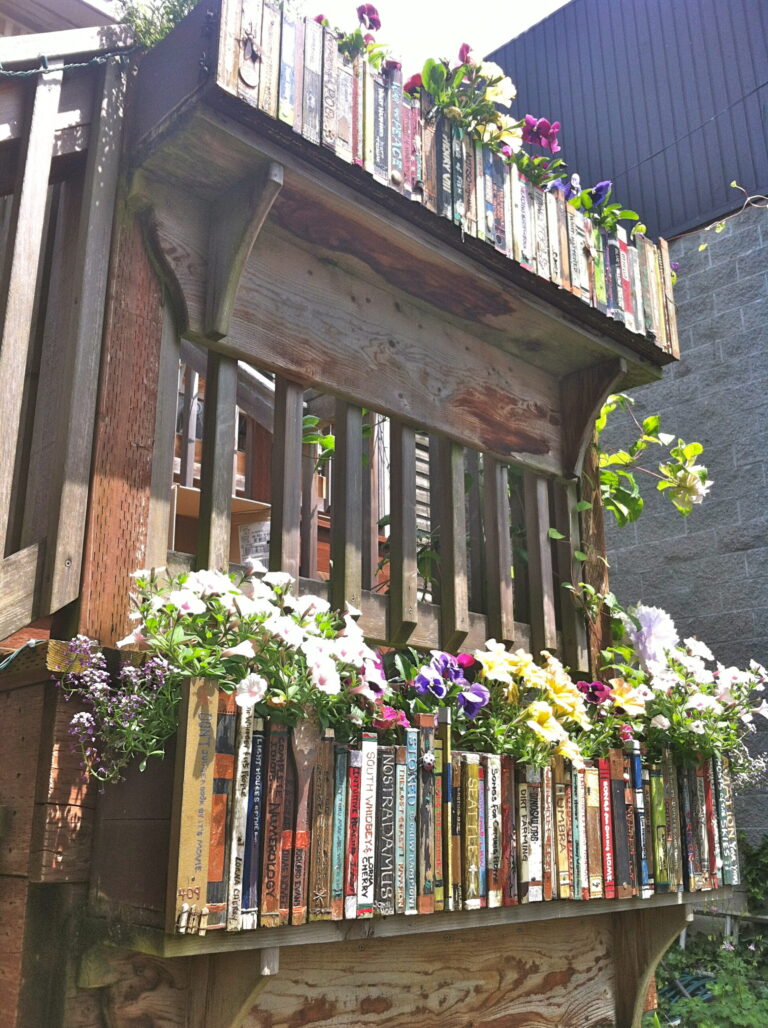 moonraker9 scaled 1 768x1028