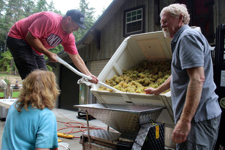 spoiled dog winery14 768x512