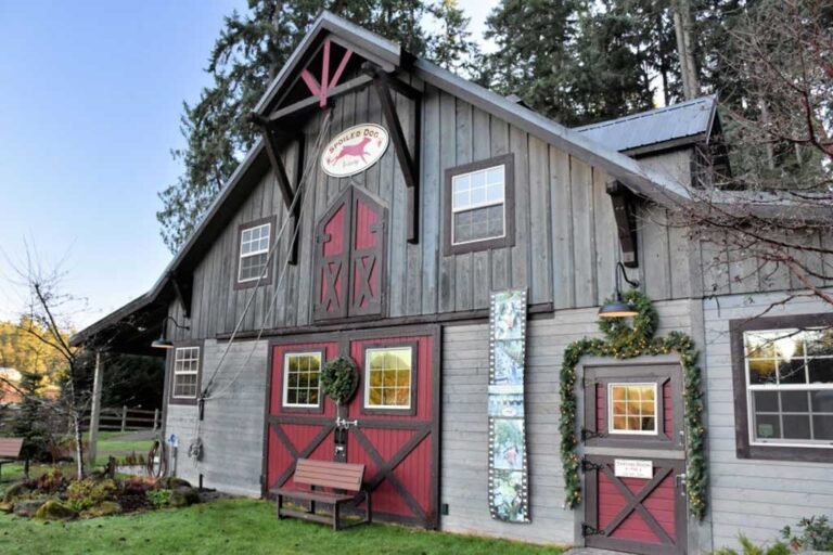 spoiled dog winery5 768x512