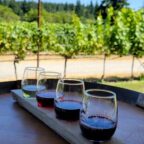 spoiled dog winery7 144x144
