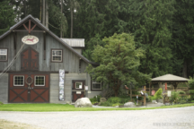 spoiled dog winery8 216x144