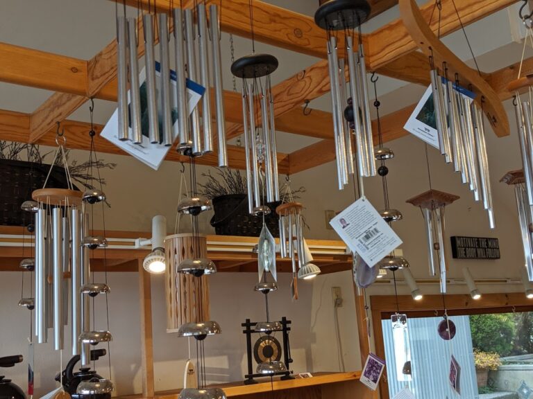 star store basics2 768x576