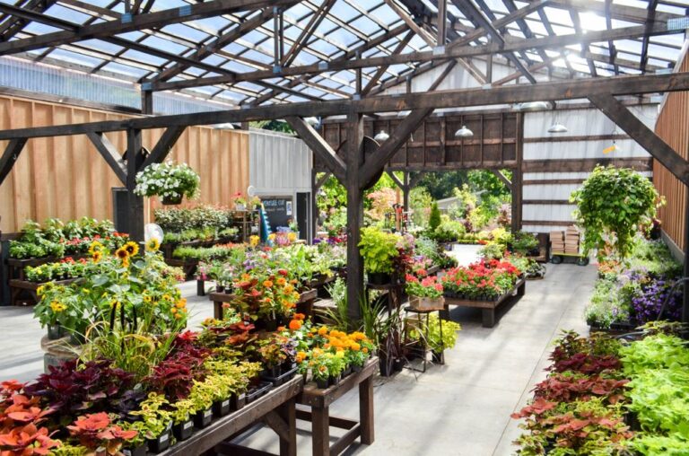 venture out nursery11 768x508
