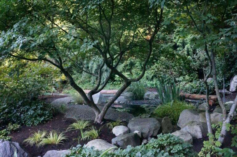 venture out nursery2 768x510