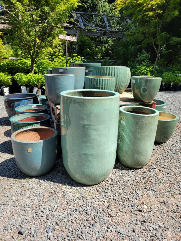 venture out nursery4 768x1023
