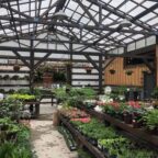 venture out nursery5 144x144