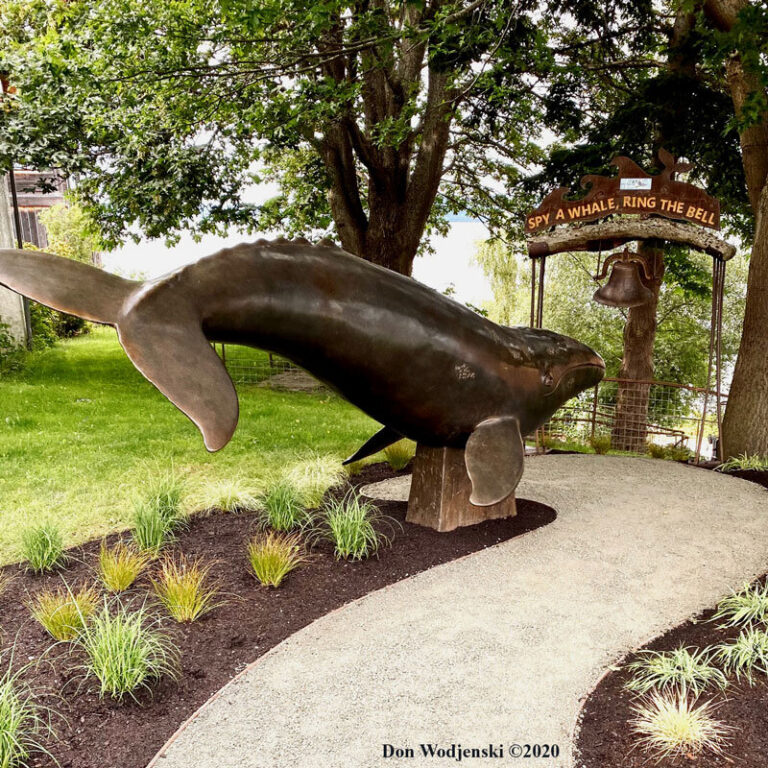 whalebell park 768x768