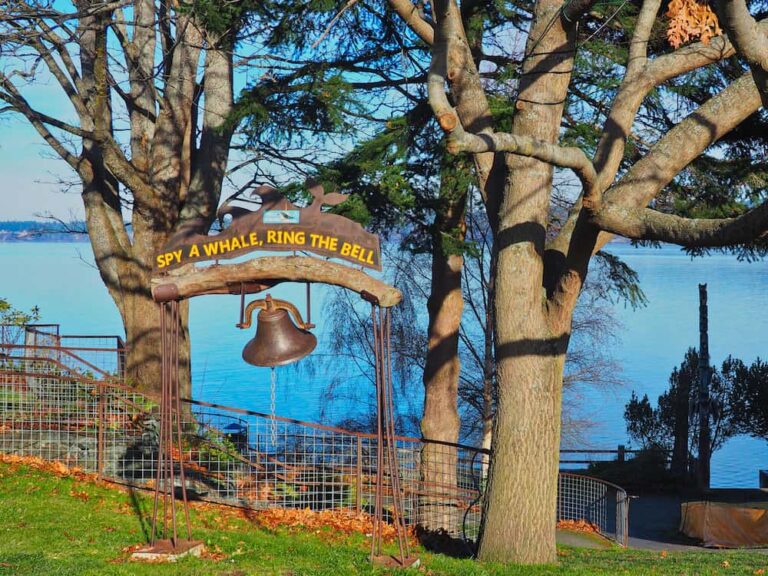 whalebell park3 768x576
