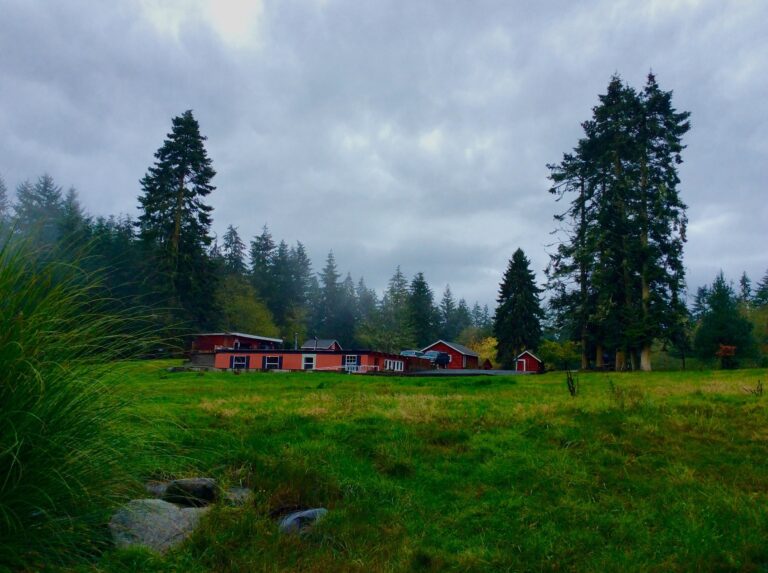 whidbey island distillery4 768x573