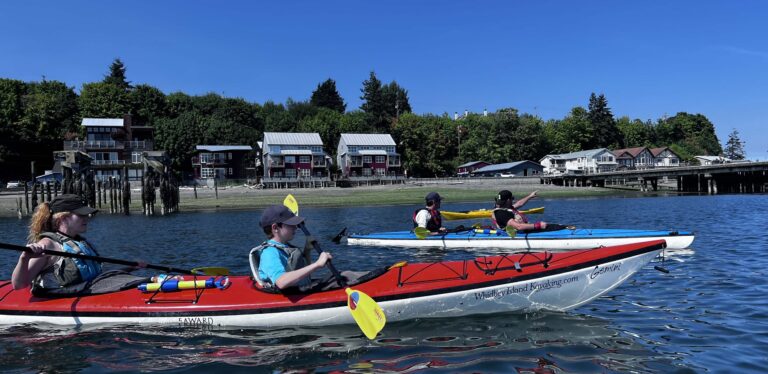 whidbey island kayaking8 768x374