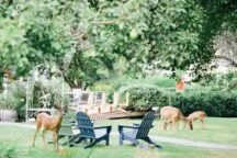 country cottage4 216x144