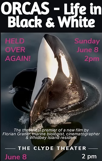 Orca Action Month