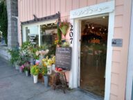FlyingBearStorefront.jjpg  192x144